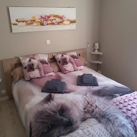 Entre Fleuve Et Centre Cognac